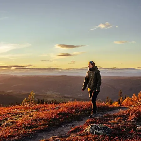 Hébergement de vacances Skogsbu - Stylish, Close To Centers And Hiking Trails