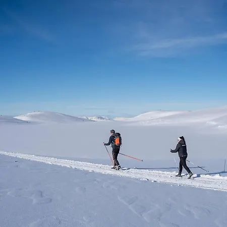 Hébergement de vacances Skogsbu - Stylish, Close To Centers And Hiking Trails