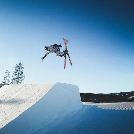 펜션 Skogsbu - Stylish, Close To Centers And Hiking Trails